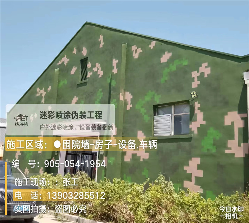 岳阳外墙数码迷彩漆施工报价清单（100㎡标准墙面测算）
